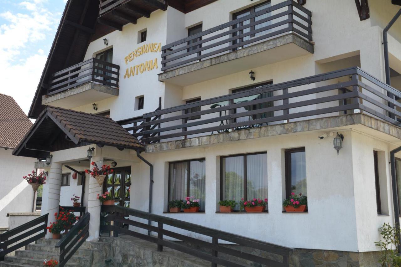 Pensiunea Antonia Bran  Exterior foto